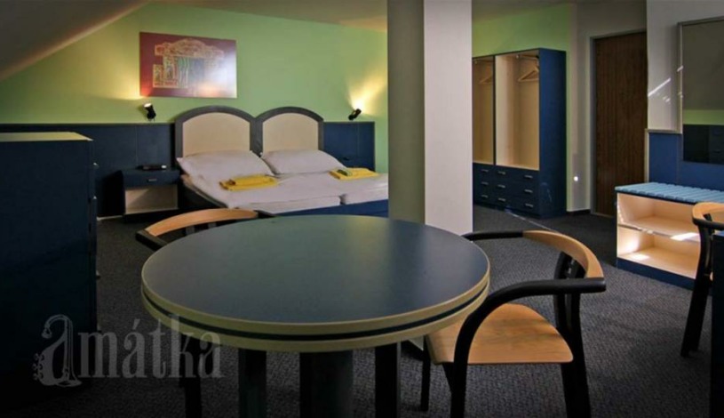 Penzion Amátka Hradec Králové - Dvoulůžkový pokoj (společné WC + Sprcha na chodbě), Studio - čtyři lůžka , Dvoulůžkový pokoj (vlastní sprcha + WC)